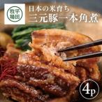 SB0565 三元豚 一本角煮 180g×4パック