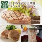 日本の米育ち ◆金華豚 バラエティーセット 計1.1Kg