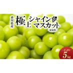 極上シャインマスカット 約5kg