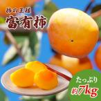 柿の王様 富有柿 7kg