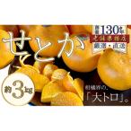 柑橘界の大トロ♪せとか 約3kg