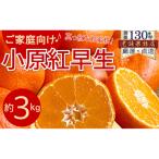 ご家庭向け 真っ赤なお蜜柑 小原紅早生 約3kg