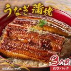 うなぎの蒲焼 真空パック 3人前+レンジメート
