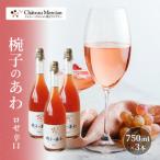 スパークリングワイン 椀子のあわ 750ml 3本 セット