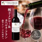 椀子メルロー カベルネ フラン 750ml