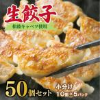ふるさと納税 泉佐野市 生餃子 50個セット【小分け 5パック 甘いと評判 松波キャベツ使用】 010B1538