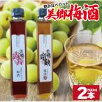 梅酒 飲み比べ 2本セット 美郷露茜 美郷鶯宿 500ml