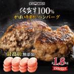 佐賀牛100%ハンバーグ 150gx12個 計1800g