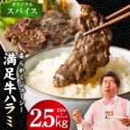 オリジナルスパイス仕込み 合計2.5kg