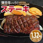 ふるさと納税 泉佐野市 満足牛ハラミステーキ オリジナルスパイス仕込 合計1.32kg 牛肉 小分け 焼肉 G3365