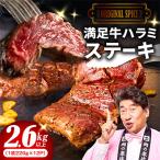 満足牛ハラミステーキ オリジナルスパイス仕込 合計2.64kg