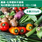 fu.... налог Kochi город [ культивирование период средний пестициды * химия удобрение не использование ] сырой .200g... овощи 10~13 товар комплект [BA004]