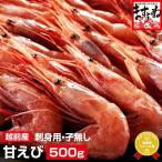 越前 甘えび 小サイズ 500g