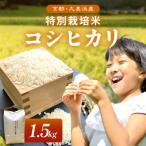 2026年産 久美浜産 特別栽培米コシヒカリ