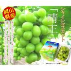シャインマスカット 晴王 1房 約700g
