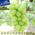 ショッピングふるさと納税 シャインマスカット ふるさと納税 富士吉田市 【Yahoo!ふるさと納税限定】【2026年発送 先行受付】シャインマスカット約3kg(4〜7房)