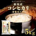 こしひかり 5kg