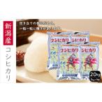 令和8年産新米新潟産五百川20kg 5kg×4本
