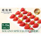 越後姫 SOLANO SPECIALITE