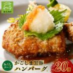 ふるさと納税 南九州市 かごしま黒豚ハンバーグおろしソース20個