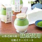 天橋立チーズケーキ 6個セット お菓子 チーズケーキ