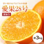 愛果28号 約3kg