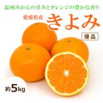 きよみ 約5kg