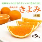 きよみ 約5kg
