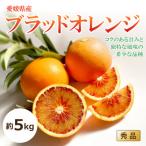 ブラッドオレンジ 約5kg