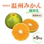 温州みかん 早生 約5kg