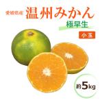 温州みかん 極早生 約5kg