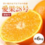 愛果28号 約6kg