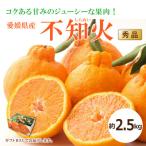 不知火 B品 2.5kg