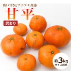 甘平 かんぺい 約3kg