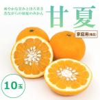 甘夏 優品 10玉