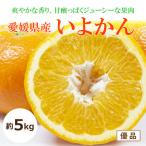 いよかん<優品 >約5kg