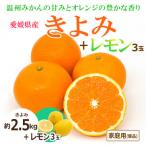 きよみ 優品 約2.5kgと瀬戸内海の島レモン3玉入り
