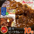 ハウス 選ばれし 店 濃厚ビーフカレー 10個
