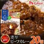 ハウス 選ばれし 店 濃厚ビーフカレー 20個