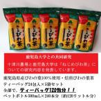 ねじめびわ茶 ティーバッグ 24包入×5袋