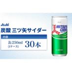 炭酸 三ツ矢サイダー 250ml