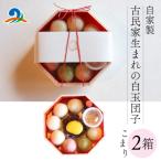 南 古民家生まれの白玉団子 こまり箱 2箱