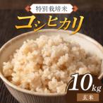 南 令和8年産 特別栽培米 コシヒカリ 玄米10kg