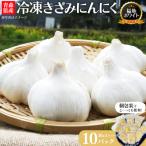 冷凍きざみにんにく 30g×10パック