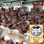 乾燥きくらげ 30g