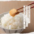 産熟成黒にんにく元気くん Lサイズ 12個入