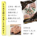 簡単 便利 3種のごちそうおにぎりセット