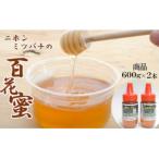 日本ミツバチの百花蜜2本セット 600g×2
