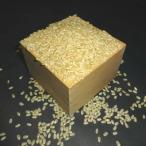 ふるさと納税 美浦村 【7年産】野口勘右衛門のお米 「安心栽培米(コシヒカリ)」玄米10kg