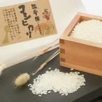 中 能登米コシヒカリ3kg